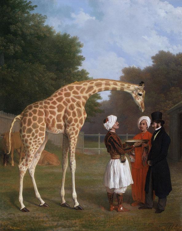 Jacques-Laurent Agasse The Nuian Giraffe (mk25) Spain oil painting art